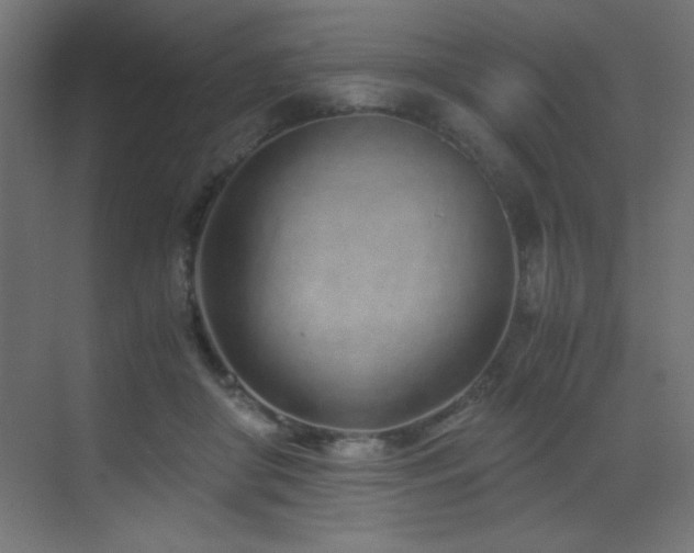 X0000073450410200607281226