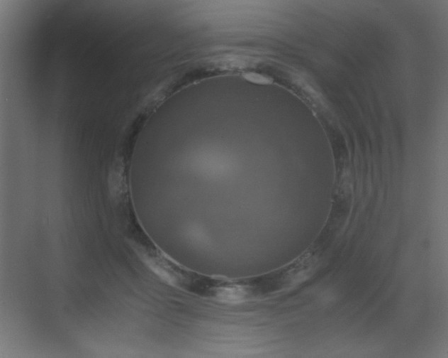 X0000073450411200607281226