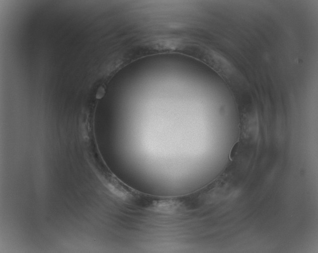 X0000073450414200607281226