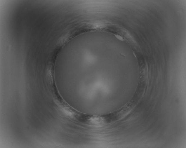 X0000073450415200607281226