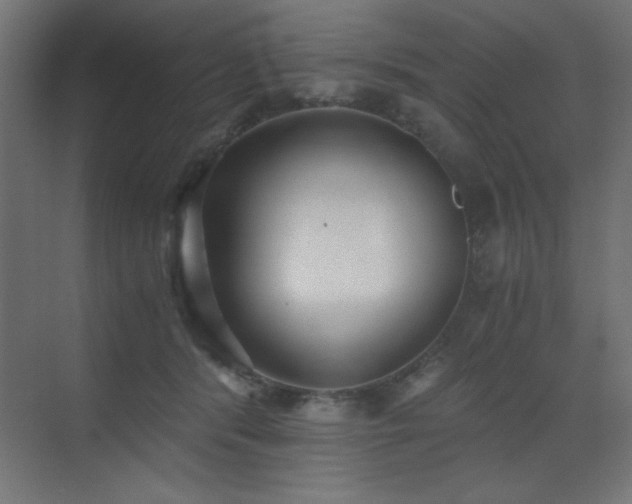 X0000073450416200607281226