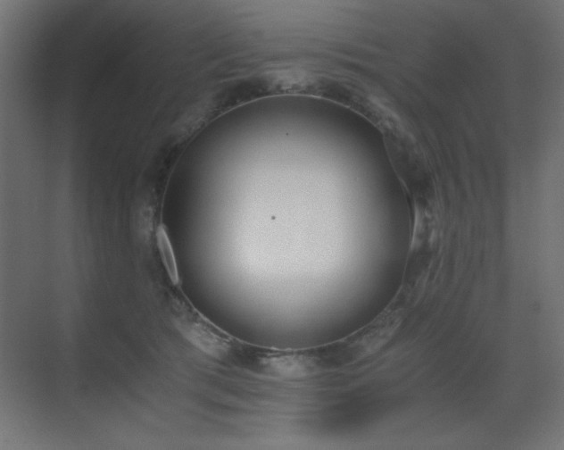 X0000073450417200607281226