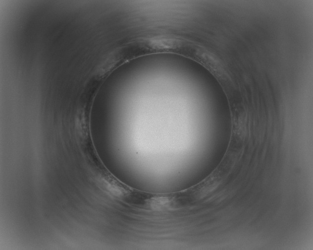 X0000073450418200607281226