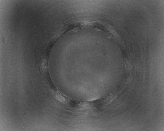 X0000073450419200607281226