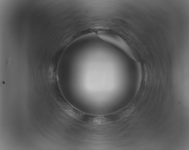 X0000073450420200607281226