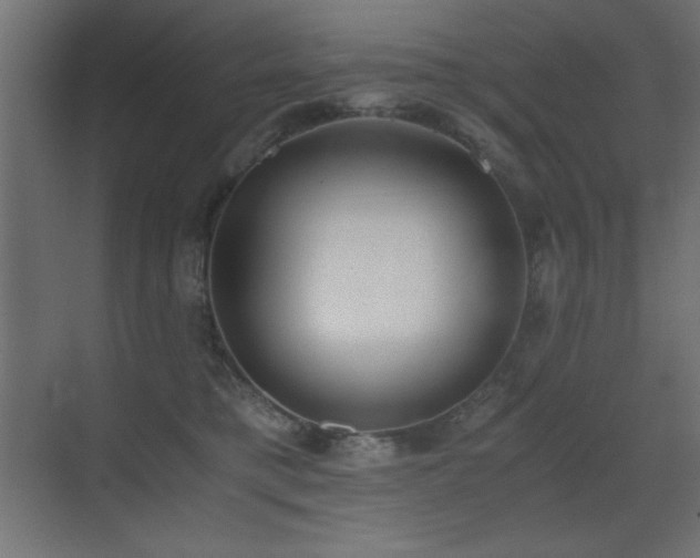 X0000073450421200607281226