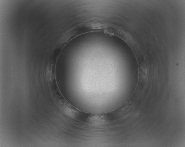 X0000073450422200607281226