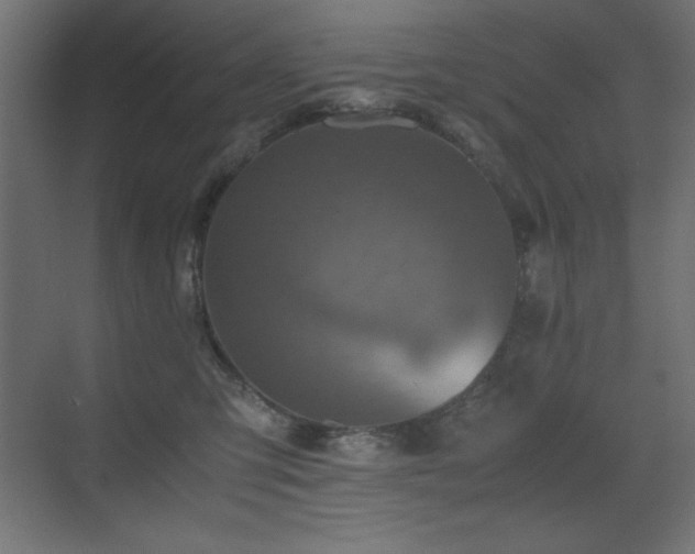 X0000073450423200607281226