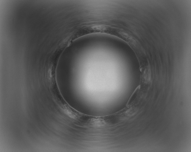 X0000073450424200607281226