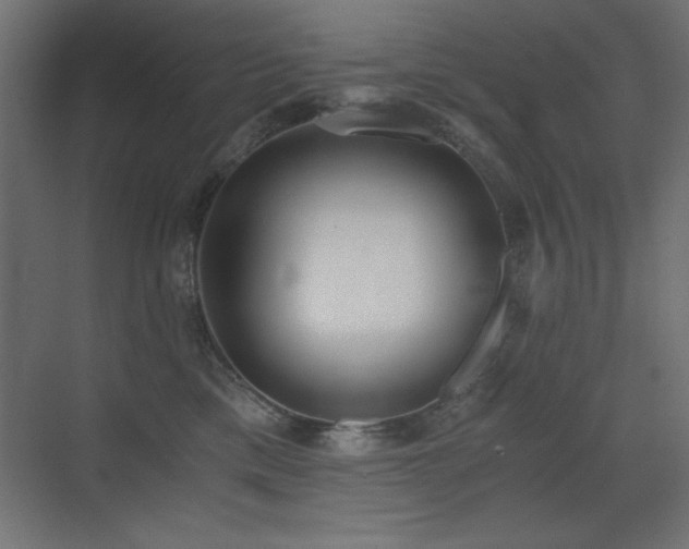 X0000073450425200607281226