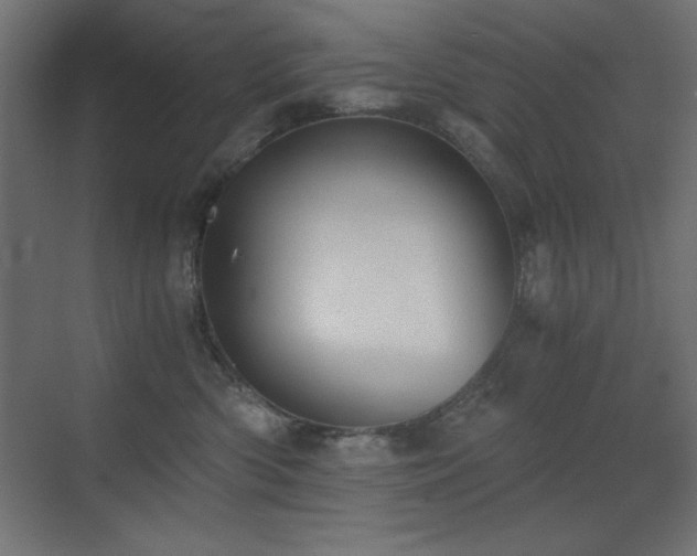 X0000073450426200607281226