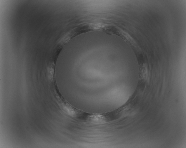 X0000073450427200607281226