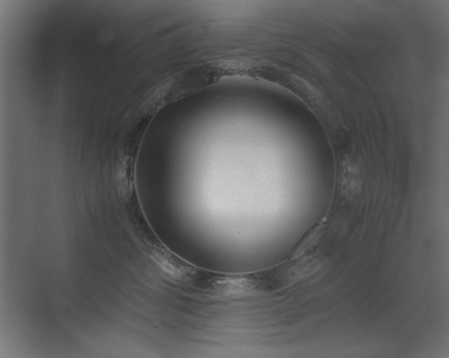 X0000073450428200607281226