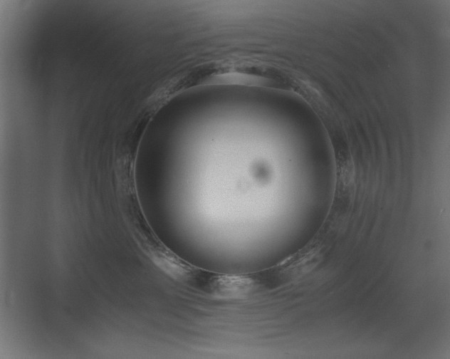 X0000073450429200607281226