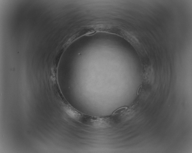 X0000073450430200607281226