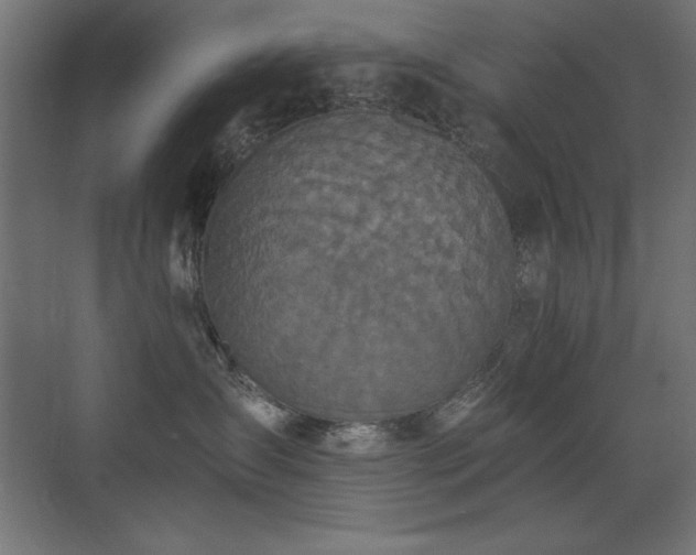 X0000073450431200607281226