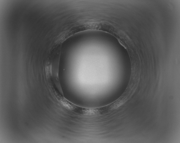 X0000073450432200607281226