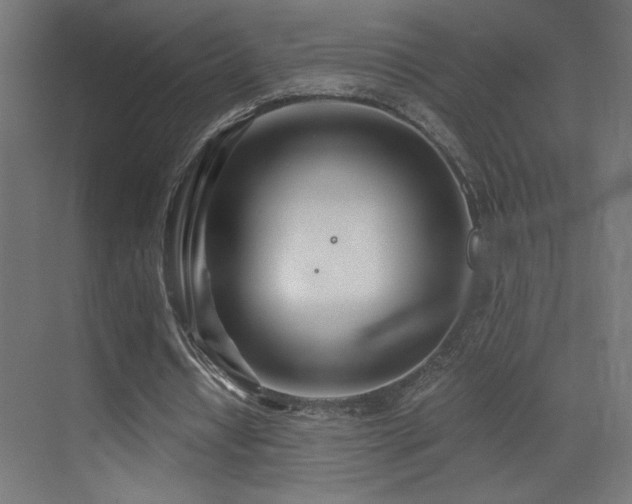 X0000073450434200607281225