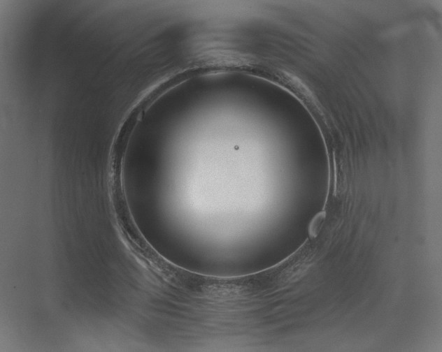 X0000073450435200607281225