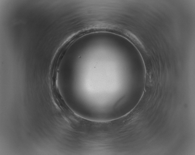 X0000073450436200607281225