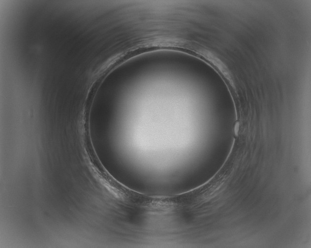 X0000073450437200607281225