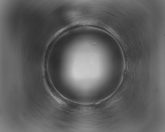 X0000073450438200607281225