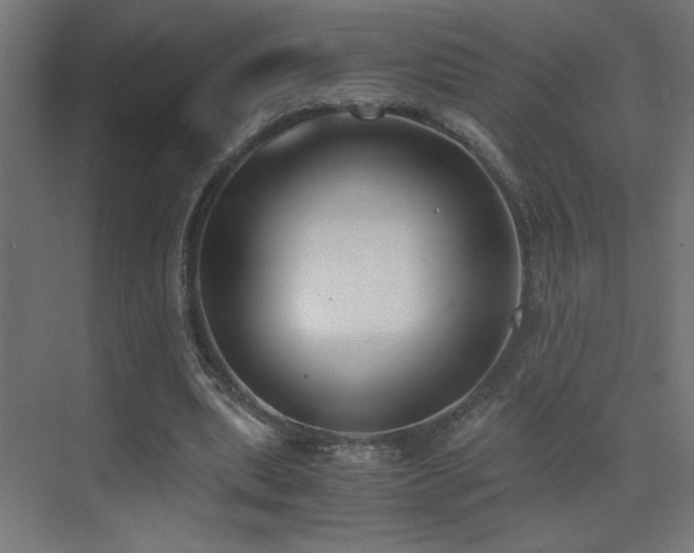 X0000073450439200607281225