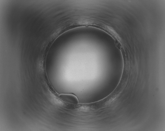 X0000073450441200607281225