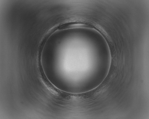 X0000073450442200607281225