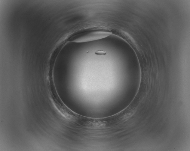 X0000073450443200607281225