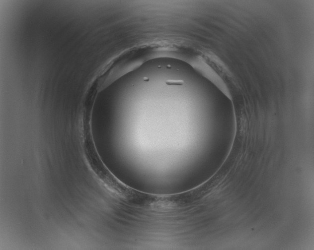 X0000073450444200607281225