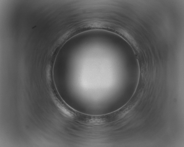 X0000073450445200607281225