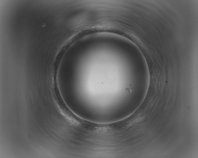 X0000073450446200607281225