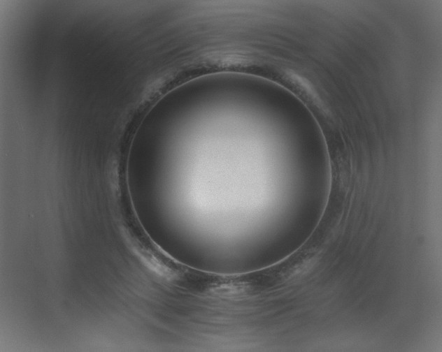 X0000073450447200607281225