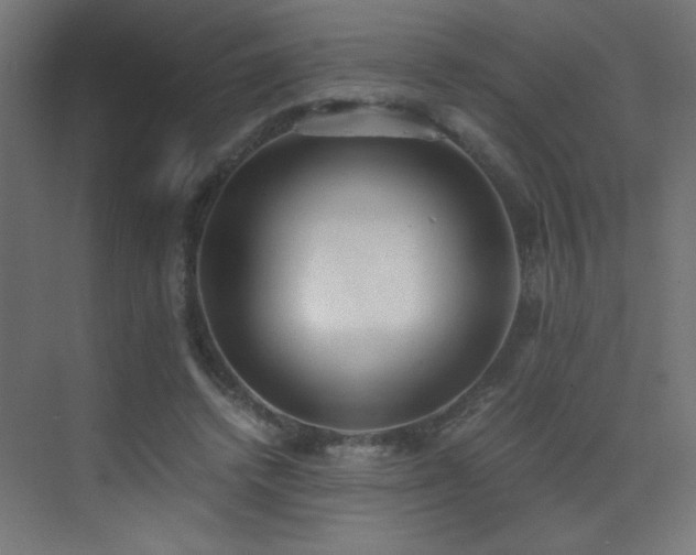 X0000073450448200607281225