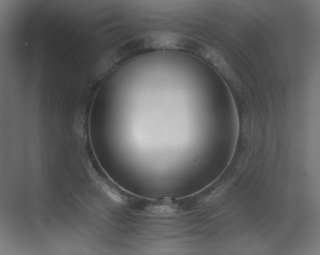 X0000073450449200607281225