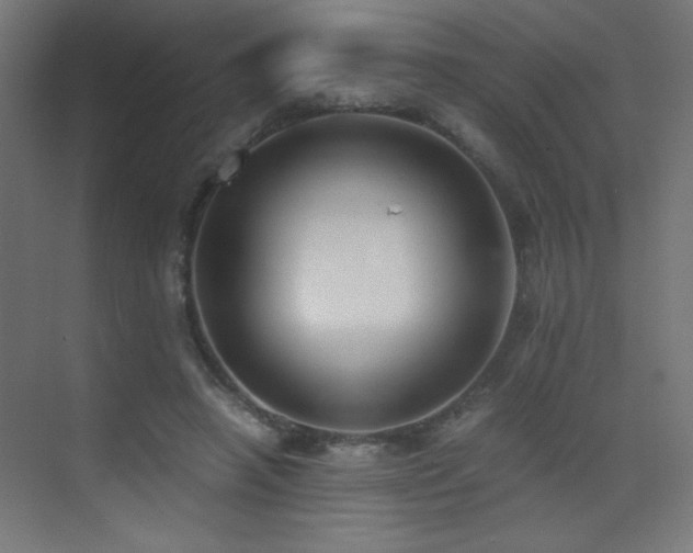 X0000073450450200607281225