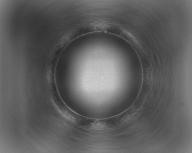 X0000073450451200607281225