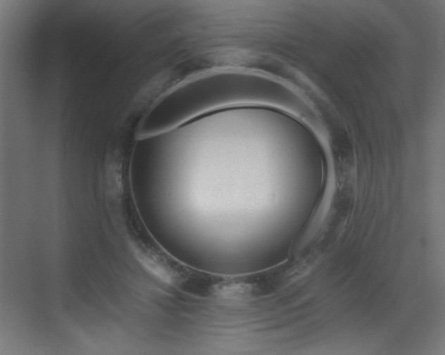 X0000073450452200607281225