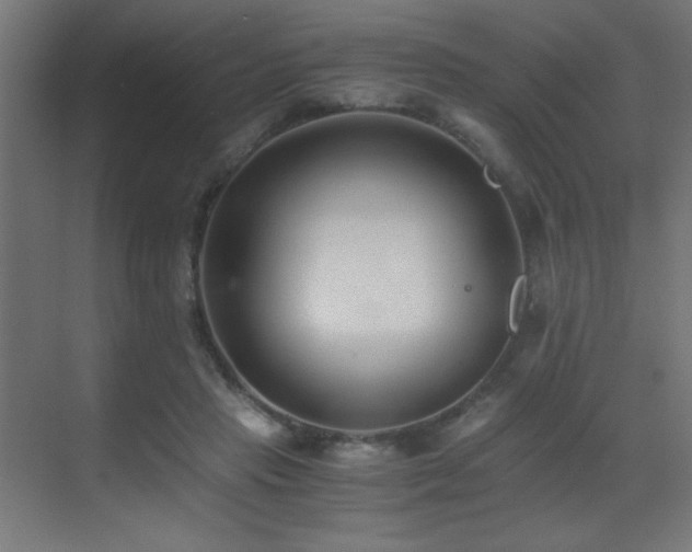 X0000073450453200607281225