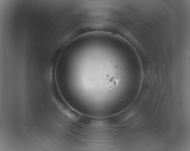 X0000073450454200607281225