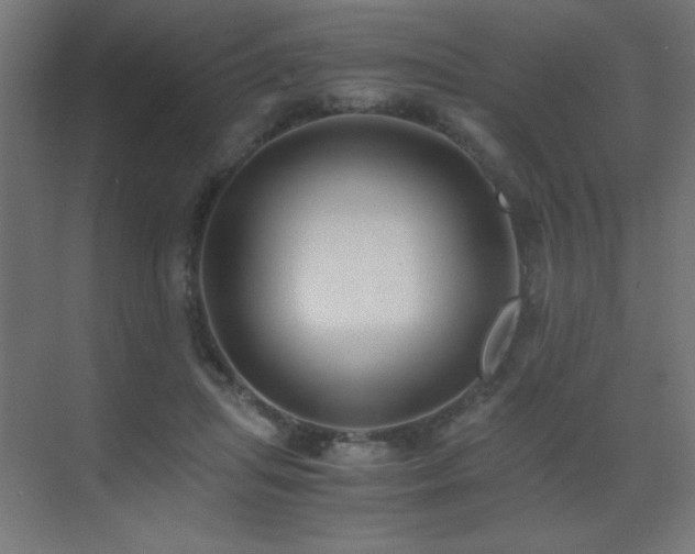 X0000073450455200607281225