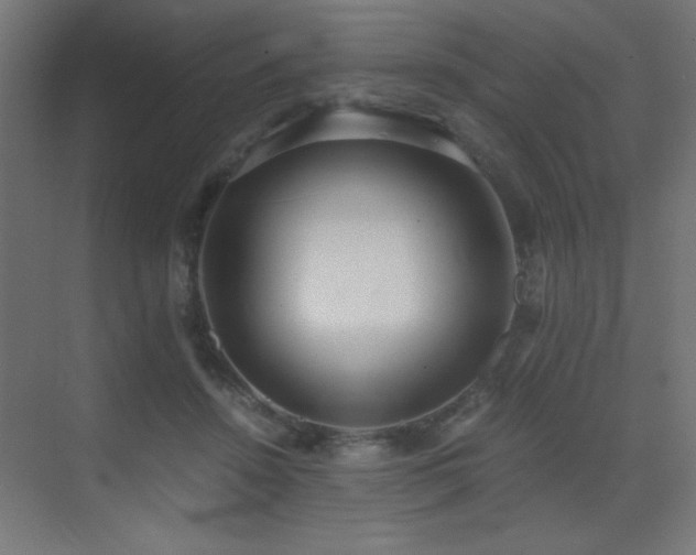 X0000073450456200607281225