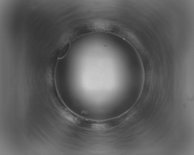 X0000073450457200607281225