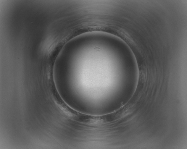 X0000073450458200607281225