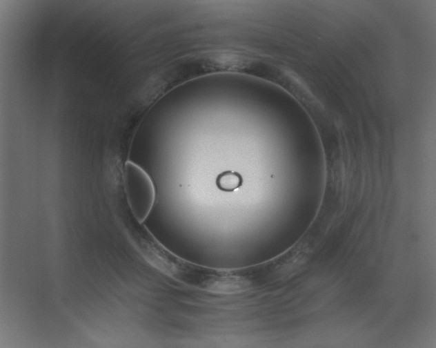 X0000073450459200607281225