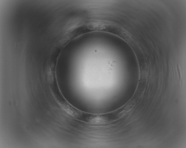 X0000073450460200607281225