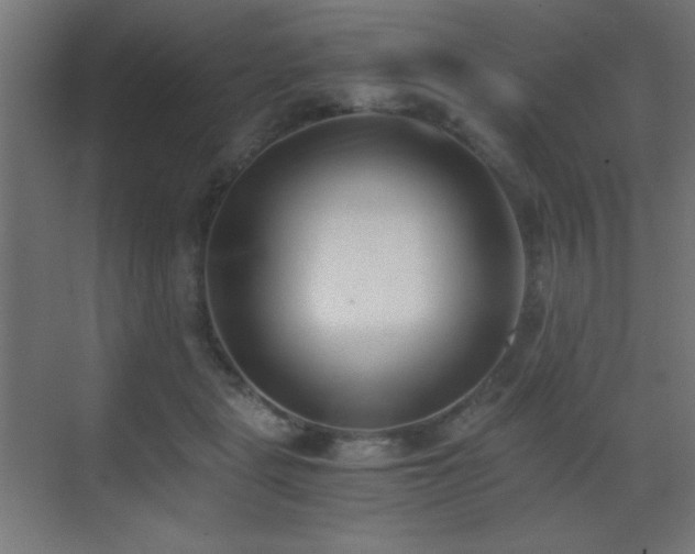 X0000073450461200607281225