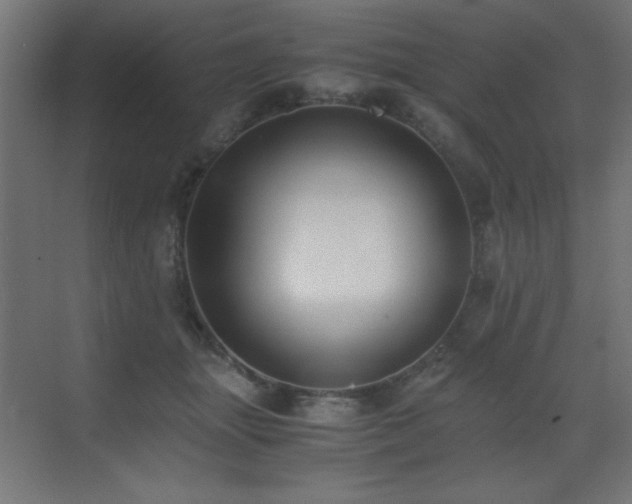 X0000073450463200607281225