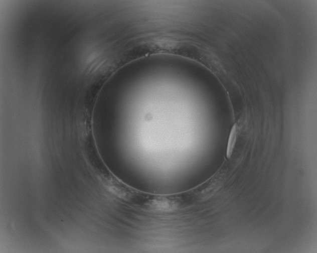 X0000073450464200607281225